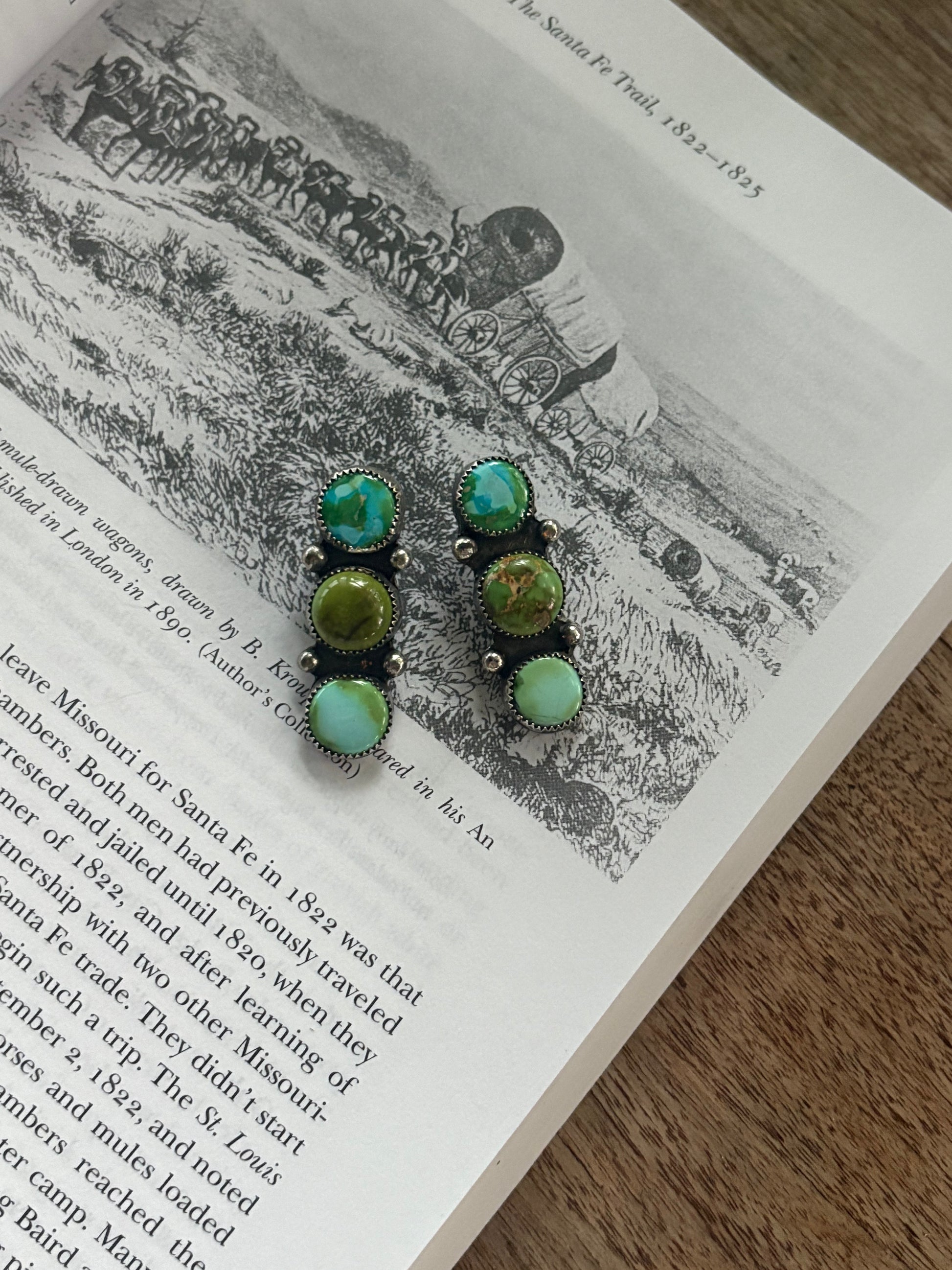The River Bottom Earrings
